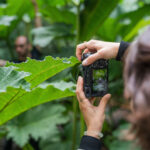 Sony Alpha 7CR Body – Black - Imagen 4