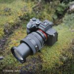 Sony 20-70 mm F4 Premium G FE - Imagen 4