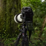 Sony Alpha 7R V Body - Imagen 6