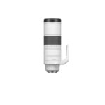 Canon RF 200–800 mm F6.3–9 IS USM - Imagen 7