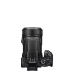 Nikon Coolpix P1100 - Imagen 15